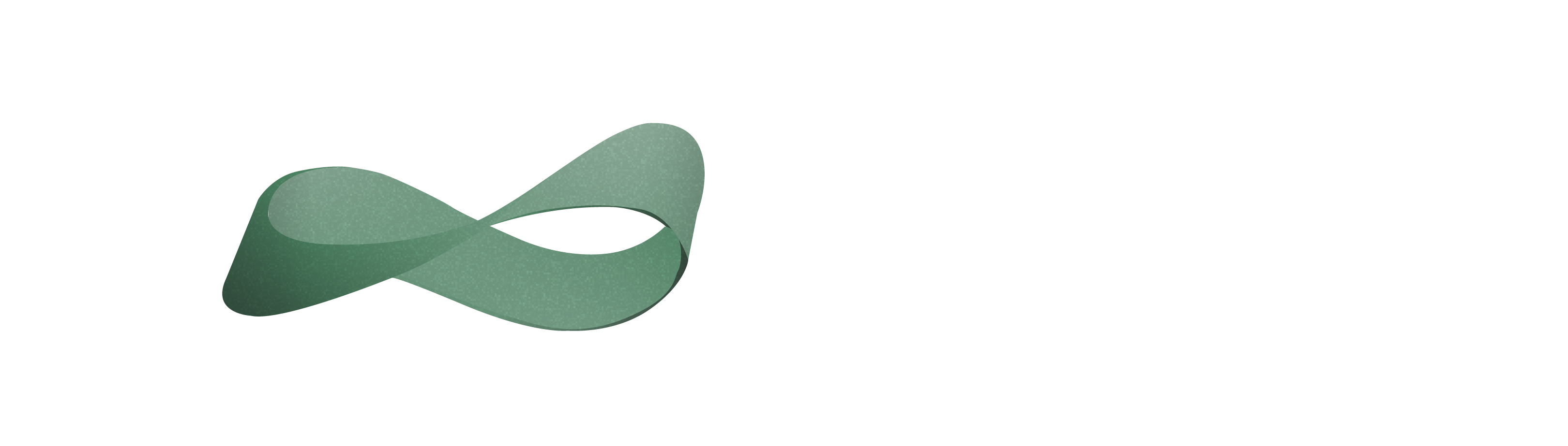 Transparent Software Logo